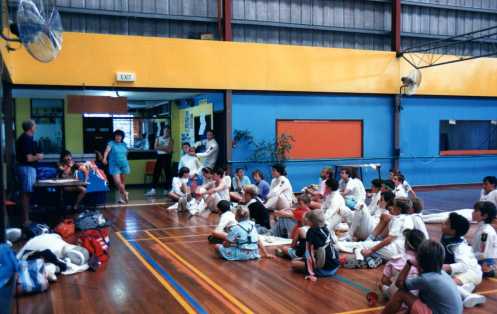Youngsters Fencing Clinic